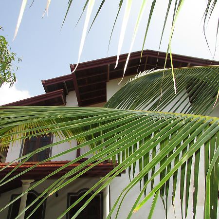 Falcon Villa Induruwa Zewnętrze zdjęcie