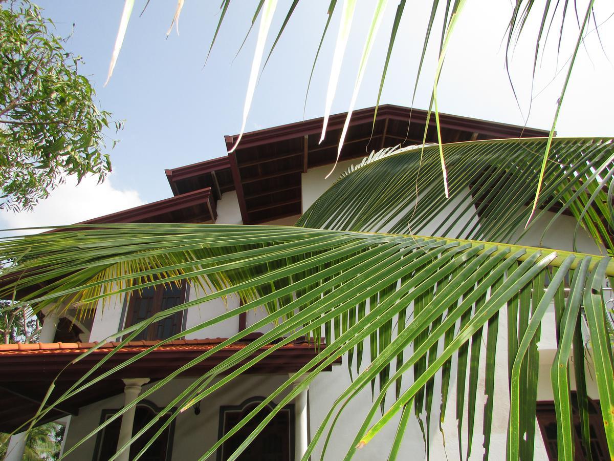 Falcon Villa Induruwa Zewnętrze zdjęcie
